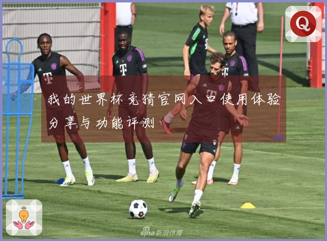 我的世界杯竞猜官网入口使用体验分享与功能评测
