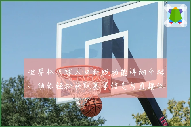 世界杯买球入口新版功能详细介绍，助你轻松获取赛事信息与直播体验