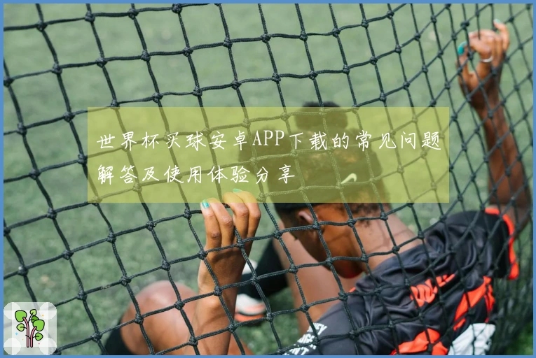 世界杯买球安卓APP下载的常见问题解答及使用体验分享