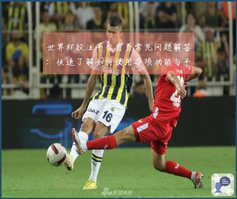 世界杯投注平台首页常见问题解答：快速了解如何使用各项功能与平台信息