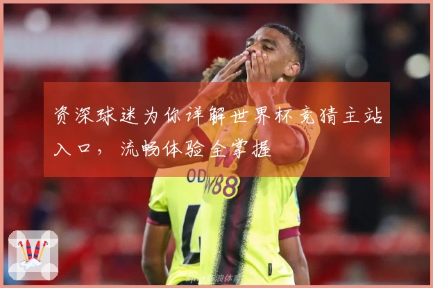 资深球迷为你详解世界杯竞猜主站入口，流畅体验全掌握