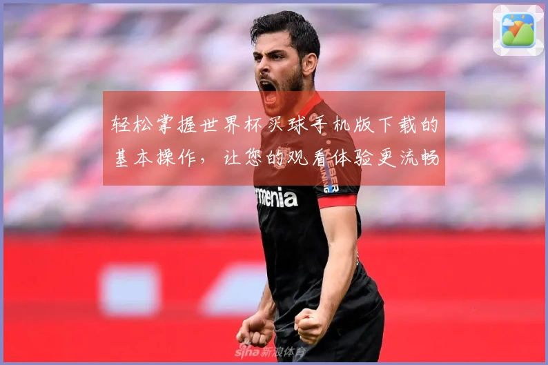 轻松掌握世界杯买球手机版下载的基本操作，让您的观看体验更流畅