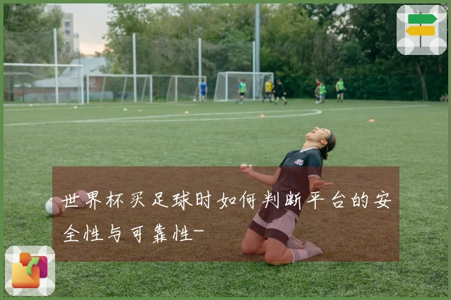 世界杯买足球时如何判断平台的安全性与可靠性-
