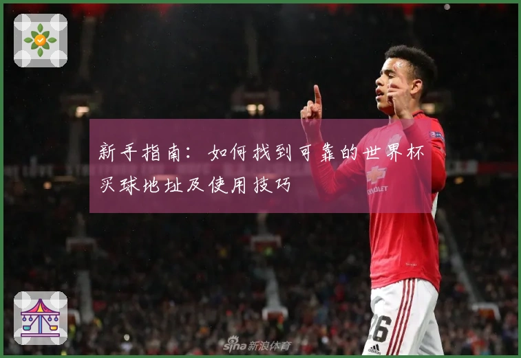新手指南：如何找到可靠的世界杯买球地址及使用技巧