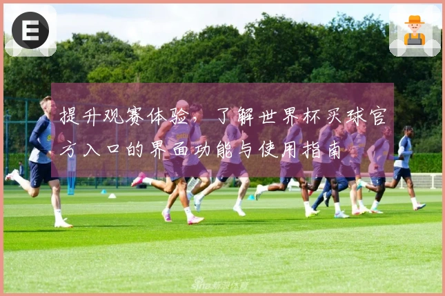 提升观赛体验，了解世界杯买球官方入口的界面功能与使用指南