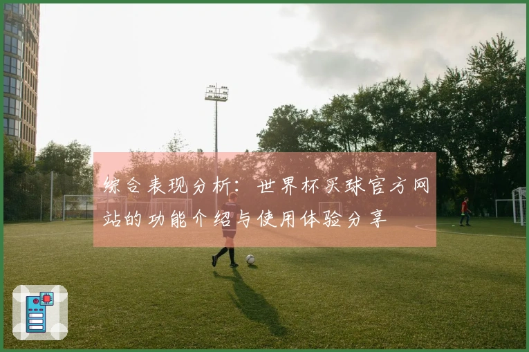 综合表现分析：世界杯买球官方网站的功能介绍与使用体验分享