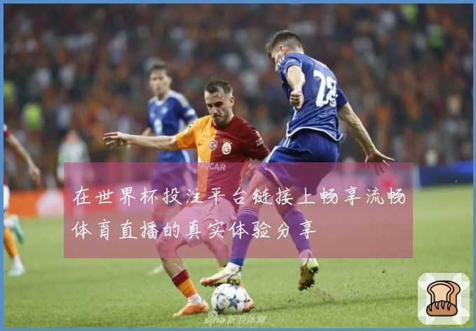 在世界杯投注平台链接上畅享流畅体育直播的真实体验分享