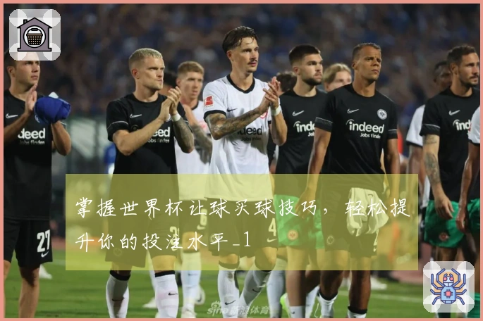 掌握世界杯让球买球技巧，轻松提升你的投注水平_1