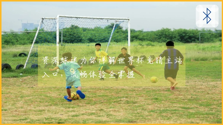 资深球迷为你详解世界杯竞猜主站入口，流畅体验全掌握
