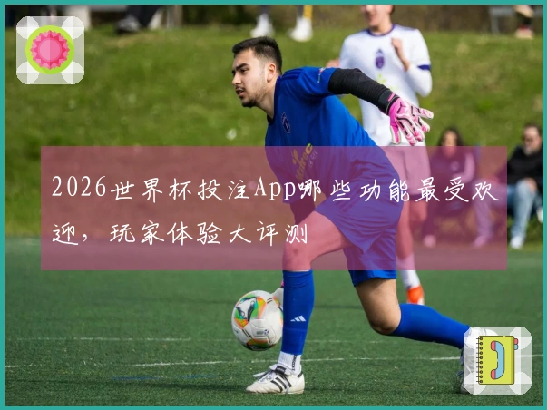 2026世界杯投注App哪些功能最受欢迎，玩家体验大评测