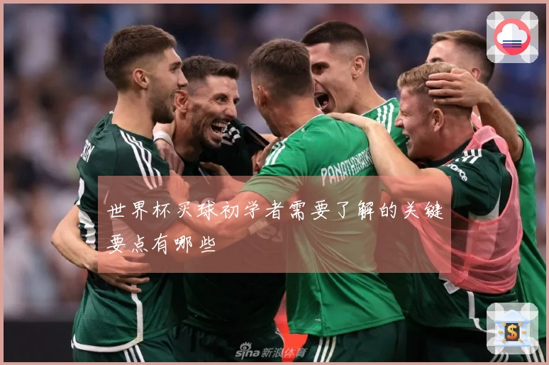 世界杯买球初学者需要了解的关键要点有哪些