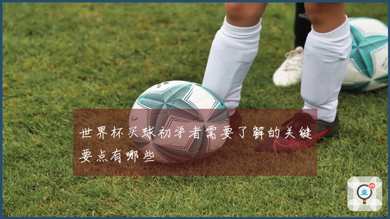 世界杯买球初学者需要了解的关键要点有哪些