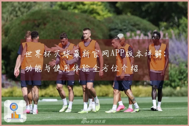 世界杯买球最新官网APP版本详解：功能与使用体验全方位介绍