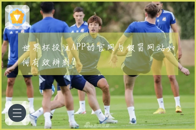 世界杯投注APP的官网与假冒网站如何有效辨别？