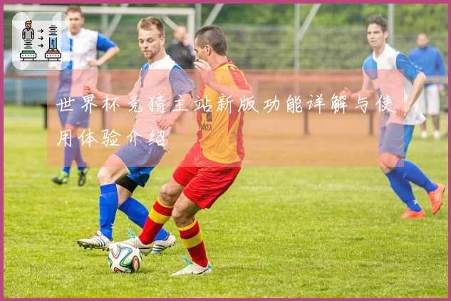 世界杯竞猜主站新版功能详解与使用体验介绍