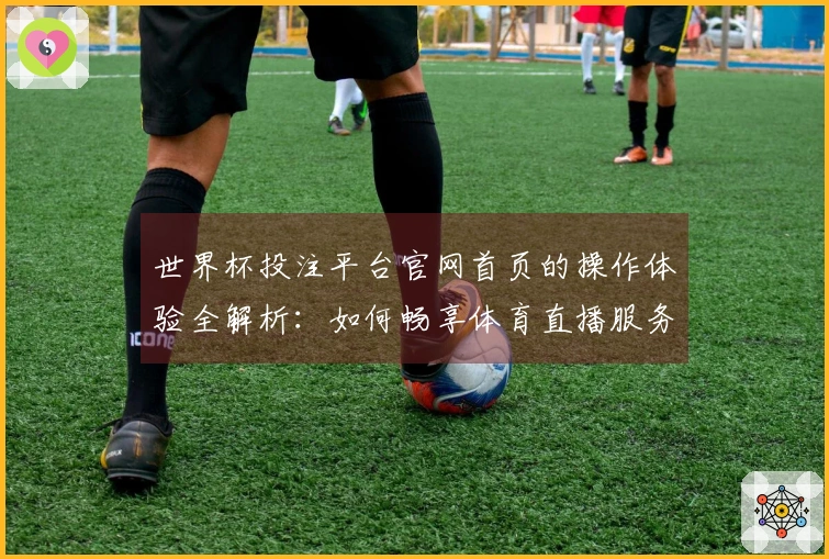 世界杯投注平台官网首页的操作体验全解析：如何畅享体育直播服务