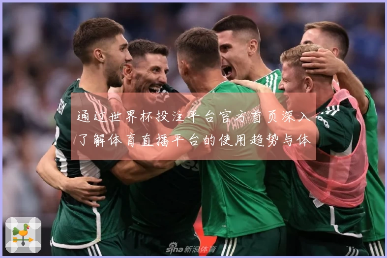 通过世界杯投注平台官方首页深入了解体育直播平台的使用趋势与体验分析